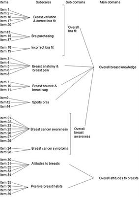 Breast Education Improves Adolescent Girls' Breast Knowledge, Attitudes to Breasts and Engagement With Positive Breast Habits